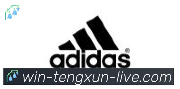腾讯体育合作伙伴